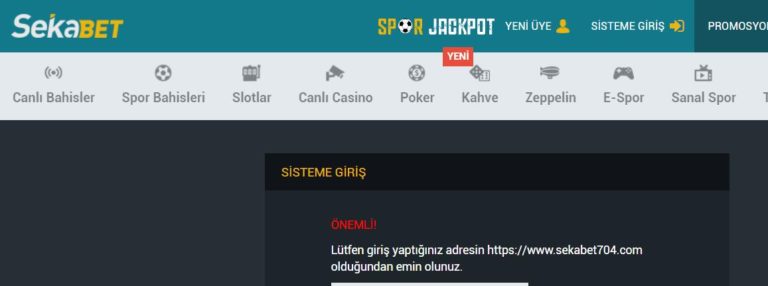 Sekabet Giriş Problemi