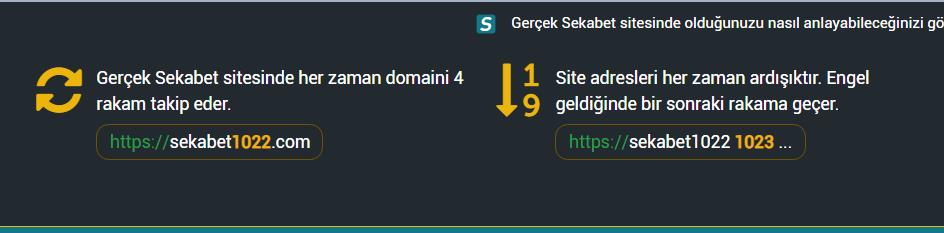 Sekabet giriş